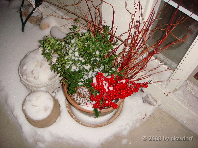 033 A2 Snowfall & Trees [2008 Dec 20].JPG - Our Christmas Trees for 2008.